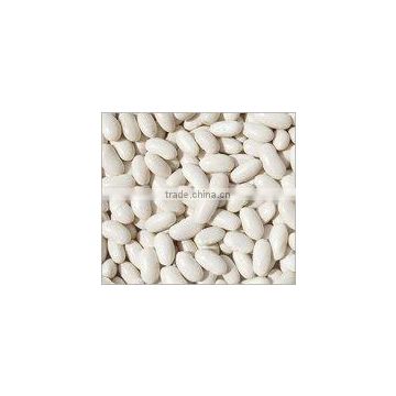 White Kidney Beans  Round shape