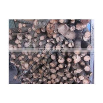 Hardwood firewood/ Heating Wood Moisture 25- 35 % for burning