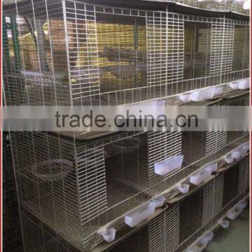 Metal Dove Cage