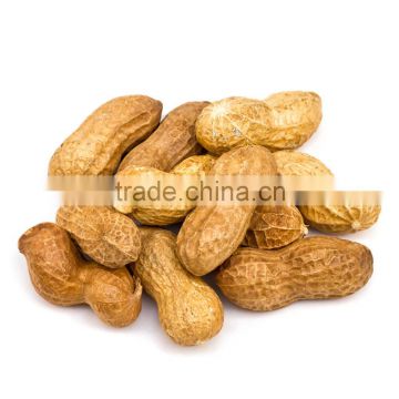 cheap coated red black peanut from plant