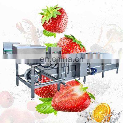 Small Portable Wash Multifunctional Vegetable And Fruit Clean Machine Food Leafy Commercial Ozone Vegetable Washer