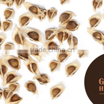 Dried Moringa Seeds Manufacturer From India