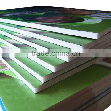 White pvc rigid/crust/celuka/forex PVC foam board