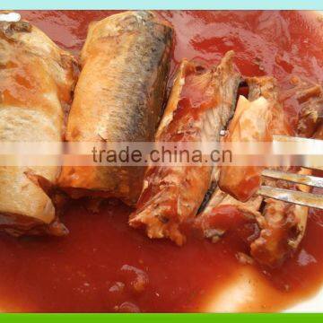 canned sardine with tomato sauce 425g for Chilie