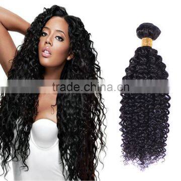 New arrival factory price top quality 7A Virgin Hair kinky curl Human Hair Weaving