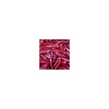 Chaotian red chilli