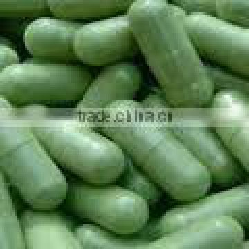 Organic certified moringa capsules