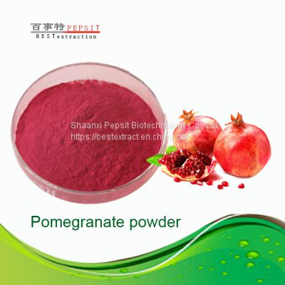 High quality natural pomegranate powder
