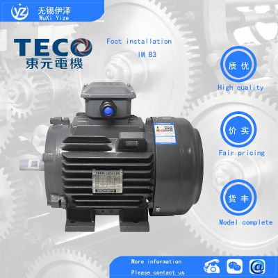 TECO three-phase asynchronous motor