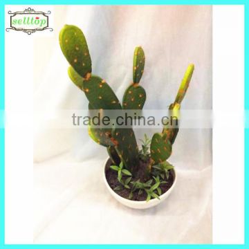 34cm new design hot sale decorating with fake cactus