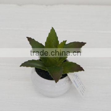 Handmade hign simulation Mini succulents and artificial plants wholesale