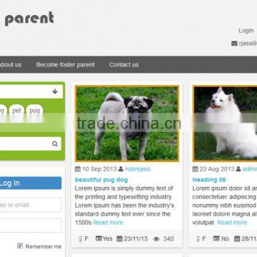 dog clothes ecommerce website design & shopping online websites