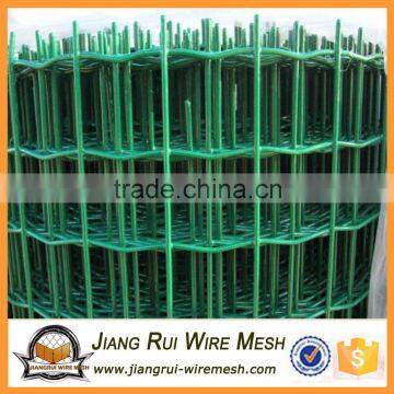 galvanized holland wire mesh(direct factory)