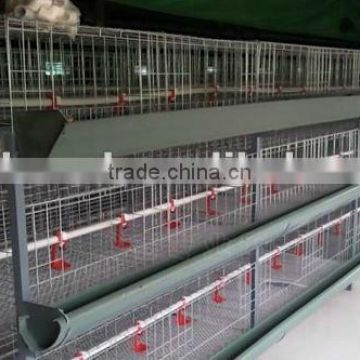 H type broiler shed