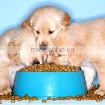Turkey & Brown Rice Recipe Dry Pet Food