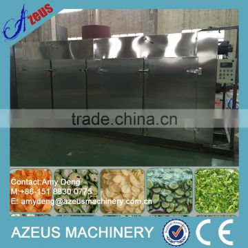 Fruit and Vegetable Drying Machine, Industrial Fruit Drying Machine