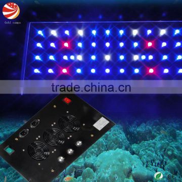 dimmable aquarium salt water led lighting 3W chip