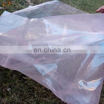 Professional plastic film greenhouse for tomato and flower growth