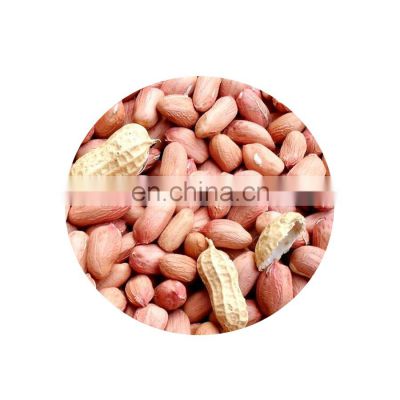raw red skin peanut and blanched peanut kernel