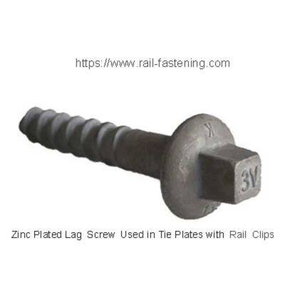 Dhs35 Galvanized Rail Screw Spike