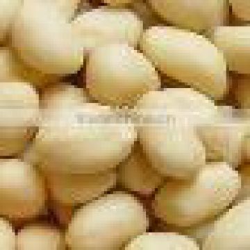 Blanched Peanuts (round type)