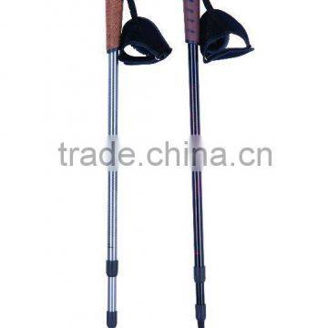 walking sticks