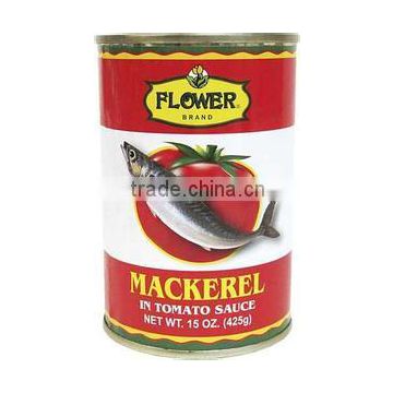 Jack mackerel fish canned mackerel in tomato sauce