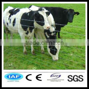hot sales China manufacture pvc coated cattle fence(factory)