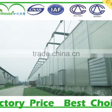 vegetable low cost commercial greenhouses