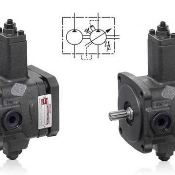 Pvdf-335-455-16s High Efficiency Molding Machine Anson Hydraulic Vane Pump