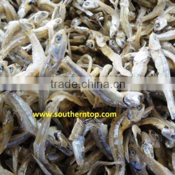 DRIED ANCHOVY FROM VIETNAM
