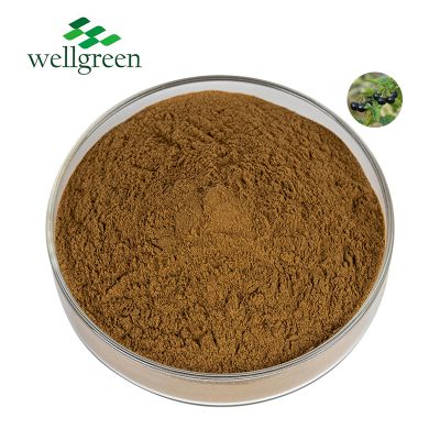 FREE SAMPLE Wellnature Supply Chinese Herbal Extract Solanum Nigrum Estratto Powder Black Nightshade Extract