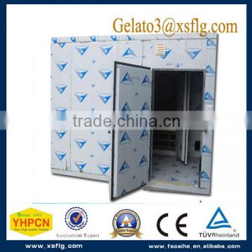 china custom freezer cold storage room