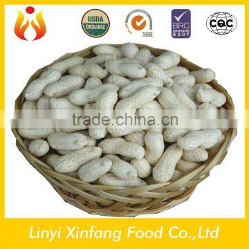 chinese best selling products new wholesale peanuts in shell