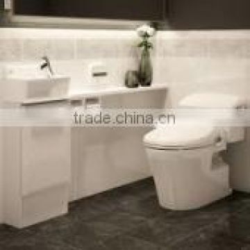Performance Low price performance High quality Japanese western toilet