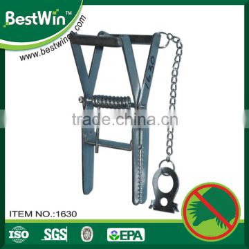 BSTW professional adhesive factory galvanized sheet mole spring trap