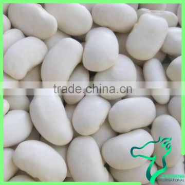 New Crop Large White Kidney Beans 45Pcs