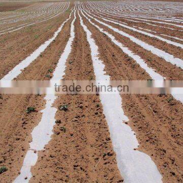 Garlic mulch film