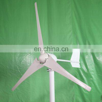 CE Certificated Low RPM 1000W Wind Mill Generator 24V 48V Wind Turbine For Home Use