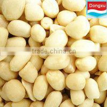 organic blanched peanut kernels 40/50