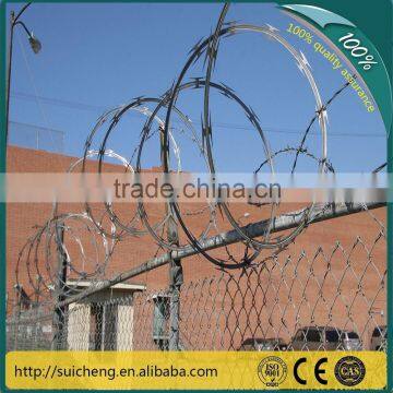 Guangzhou factory Free Samples 450mm 600mm 750mm Galvanized Razor Wire for Bangladesh