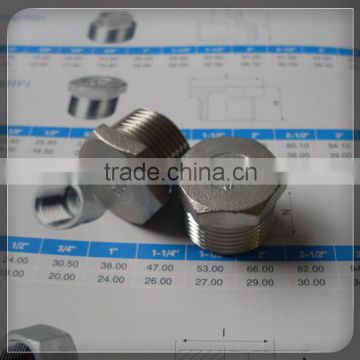 Stainless Steel pipe fitting/hexagon plug