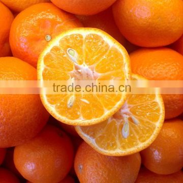 Tasty Navel Orange