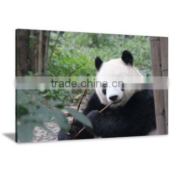 With Frame Panda Canvas Printed Painting Art Livingroom Decor DWYS23