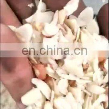 Cheap price hight quality Peanut slicer, almonds cutter, cashew nuts slicing