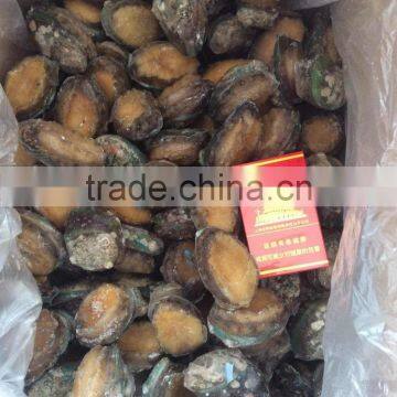 Best Price IQF Frozen Abalone with shell