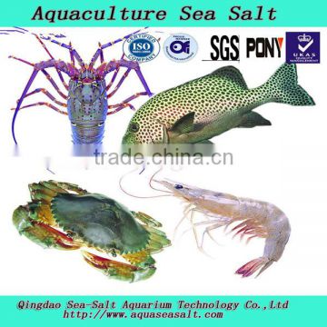 Sea Horse Aquaculture Sea Salt For Lobster Shrimp Farming