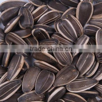 peeled and ground melon seeds, sunflower seed