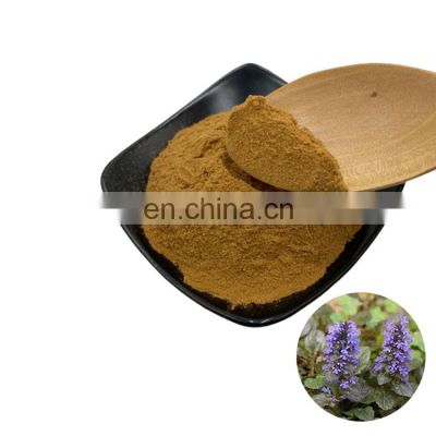 Wholesale Bulk 100% Natural Pure 2% 10% Ajuga Turkestanica Extract Powder Turkesterone