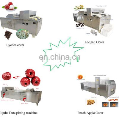 China Cheapest Price Best Quality Cherry Apple Peach Plum Olive Apricot  Seed Core Pitter Remover On Warehouse